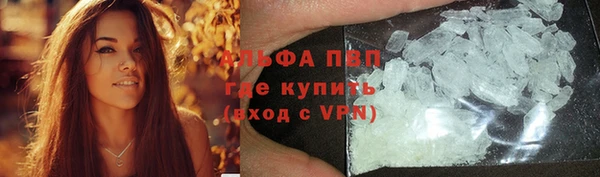 spice Аркадак