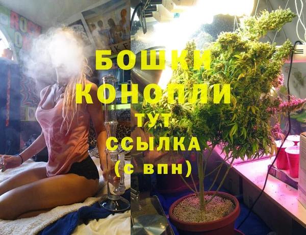 spice Аркадак