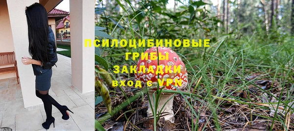 а пвп мука Алзамай